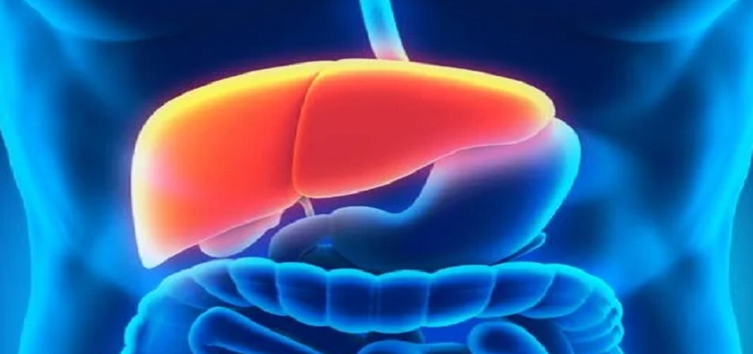 Health tips: शराब के साथ-साथ इन चीजों का सेवन लीवर को पहुंचा सकता है नुकसान