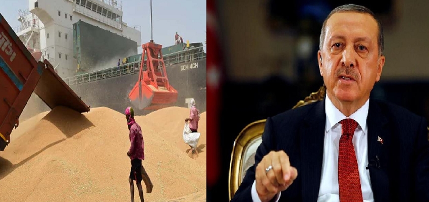 भारत के गेहूं पर तुर्की ने लगाया 'रूबेला' दाग! या फिर भारत को बदनाम करने की है साजिश