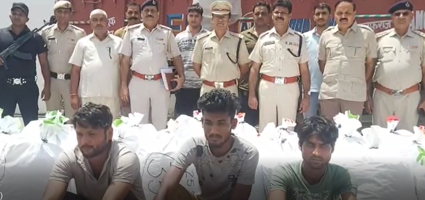 HARYANA: 800 किलो गांजे के साथ 3 तस्करों को पुलिस ने किया गिरफ्तार