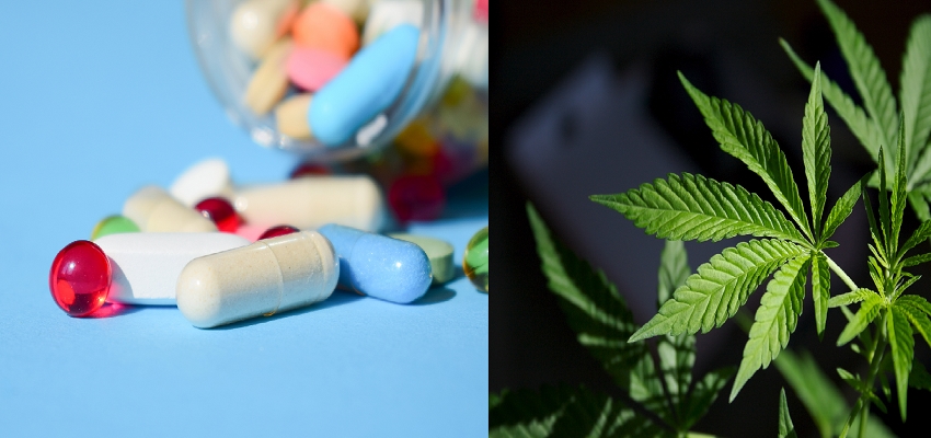 International Drug Prohibition Day: जानें कब और कैसे शुरू हुआ अतंरराष्ट्रीय नशा निषेध दिवस