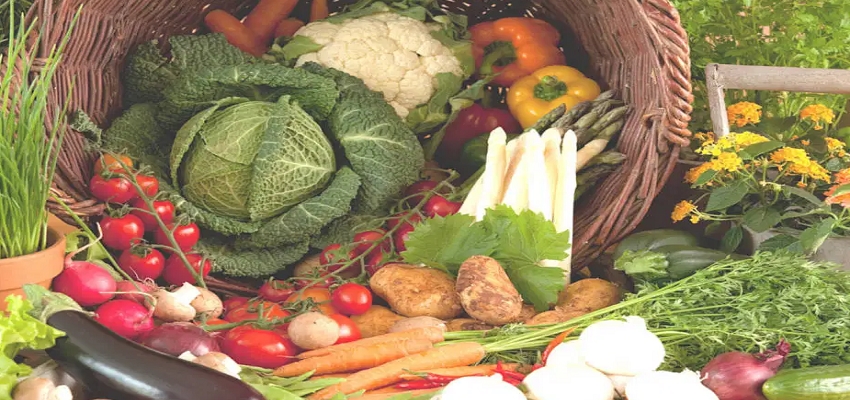 HEALTH TIPS: मानसून के मौसम में इन चीजों का करें परहेज, हो सकते है गंभीर बीमारियों का शिकार