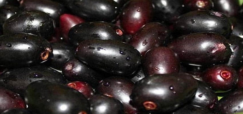 जानें काले रसीले जामुन के साइड इफेक्ट्स, खाने के बाद ना करें इन चीजों का सेवन