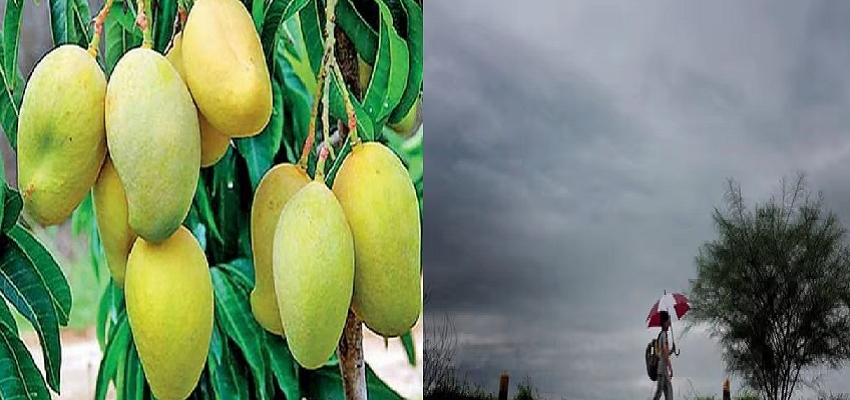 मानसूनी बारिश में इन फलों से करें परहेज, हो सकता है बड़ा नुकसान