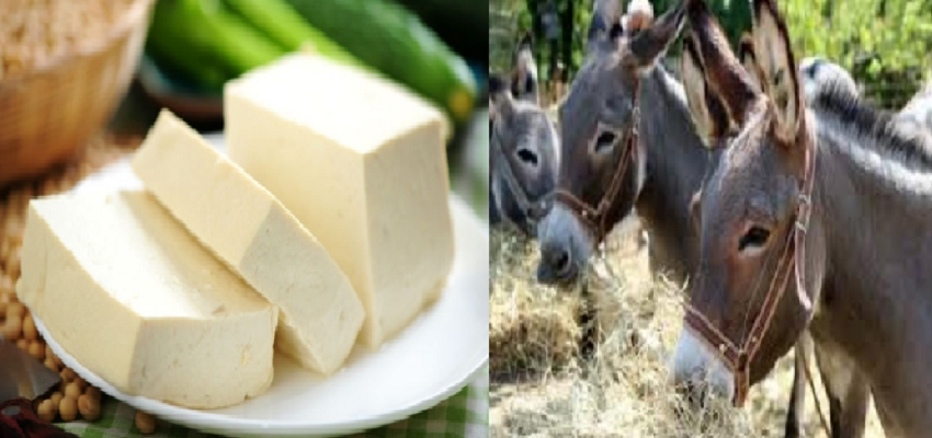 इस दूध से बनता है दुनिया का सबसे महंगा पनीर, कीमत जानकर उड़ जायेंगे आपके होश