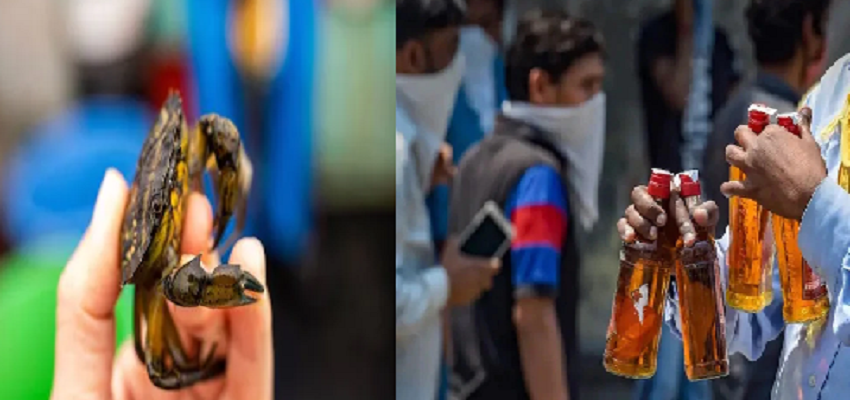 इस जगह बनाई जा रही है केकड़ों से शराब, लोग कर रहे है पसंद