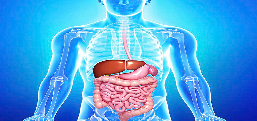 HEALTH TIPS: घर पर ही इन तरीकों से कर सकते हैं शरीर की आंतरिक सफाई, जानें कैसे