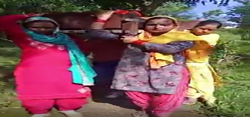 हिमाचल की बहुओं ने किया कमाल, बनी पूरे प्रदेश के लिए मिसाल