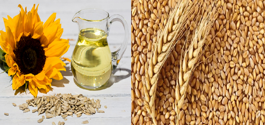 रूस-यूक्रेन के बीच हुआ समझौता, जानें क्या होगा भारत और अन्य  देशों पर असर