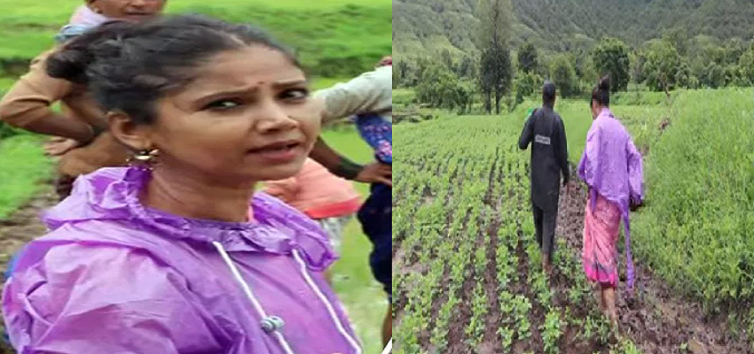 टीवी की चकाचौंध से दूर खेतों में काम करती नजर आई रतन राजपूत, लोगों को सिखाई धान की खेती