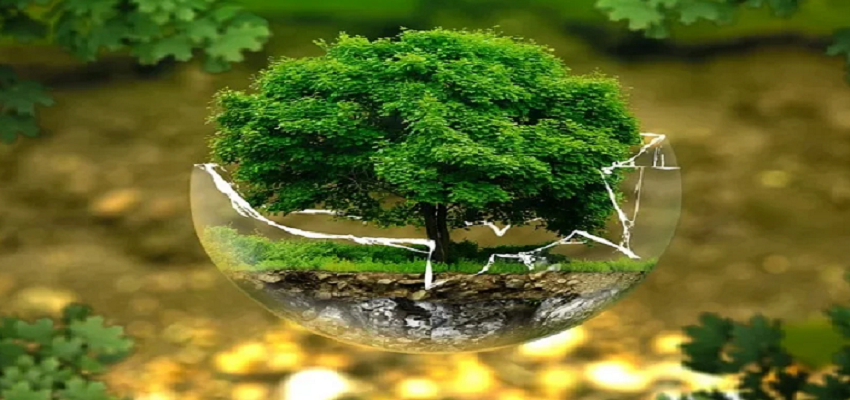 WORLD NATURE CONSERVATION DAY: क्यों मनाया जाता है विश्व प्रकृति संरक्षण दिवस, जानें महत्व