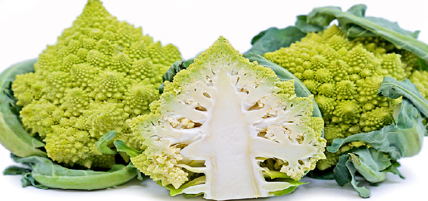 इस फूलगोभी की खेती से होगी तगड़ी कमाई! कीमत जानकर उड़ जाएंगे होश