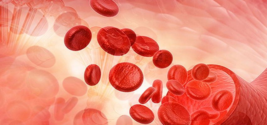 दवाइयों से नहीं...इन घरेलू तरीकों का इस्तेमाल कर खून को करें साफ