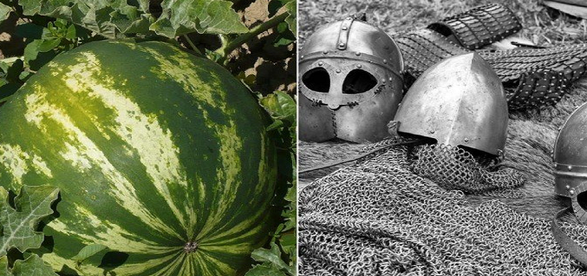 जब एक तरबूज के लिए खेली गई थी खून की होली, गंवानी पड़ी थी हजारों सैनिकों को अपनी जान