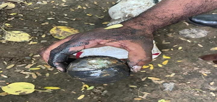 तरनतारन से पुलिस ने दो आतंकी को किया गिरफ्तार, स्वतंत्रता दिवस पर धमाके की बड़ी योजना हुई बेनकाब