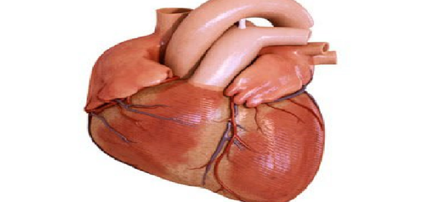 फेसबुक पर की जा रही है इंसानी अंगों की अवैध तस्करी