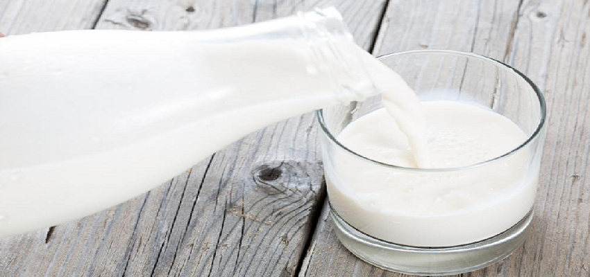 इंसानों ने जानवरों का दूध पीना क्यों किया शुरू, जानें दूध का इतिहास