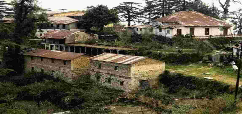 इस गांव की पहचान है दामादों की बस्ती! जानें इसके पीछे की वजह