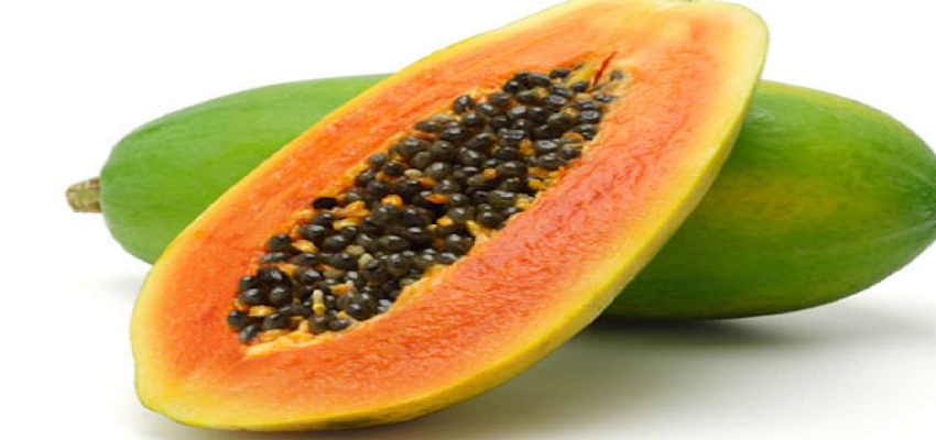 पपीते के बीजों से होते है ये चमत्कारी फायदे, मोटापे से लेकर किडनी तक कई बीमारियां होगी दूर