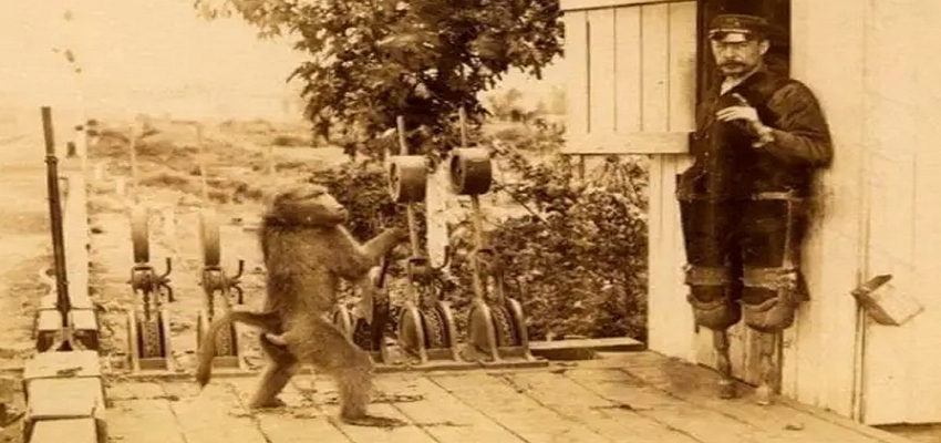 रेलवे में लाइनमैन की नौकरी करता था लंगूर बंदर, देता था ट्रेन को सिग्नल