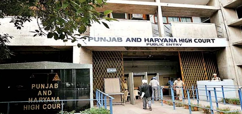 चंडीगढ़ यूनिवर्सिटी MMS कांड पहुंचा हाईकोर्ट, CBI जांच की उठी मांग