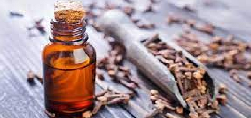 लौंग के तेल से होते है कई फायदे, इन समस्याओं को करता है दूर