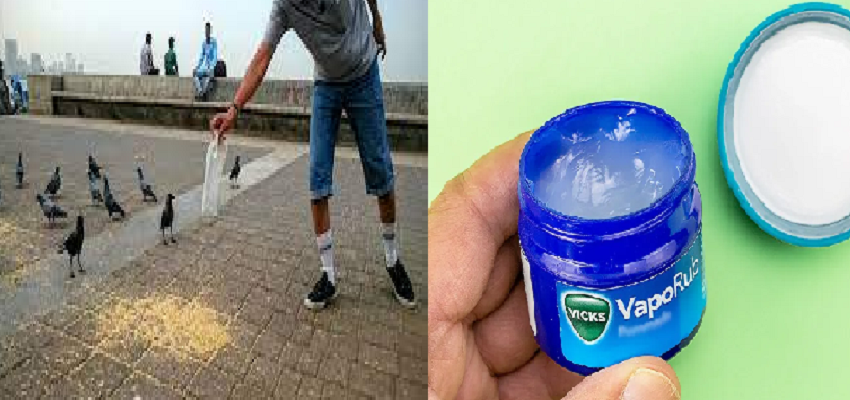 कहीं Vicks पर बैन तो कहीं कबूतरों को खाना खिलाना गैरकानूनी, जानें दुनिया के अजीबोगरीब कानून का इतिहास