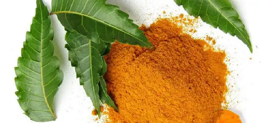 नीम और हल्दी के सेवन से होते है ये फायदे, जानें कैसे करें इसका इस्तेमाल