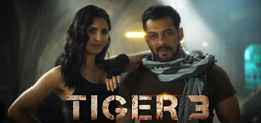 एक बार फिर पर्दे पर जासूसी करते नजर आएंगे भाई जान, ट्वीट कर बताया TIGER 3 की रिलीज डेट