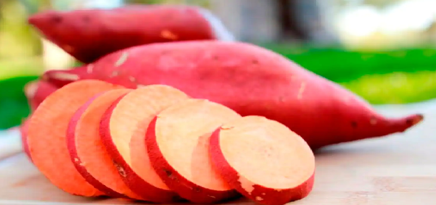 शकरकंद के सेवन से होते है ये फायदे, इन बीमारियों से मिलता है निजात