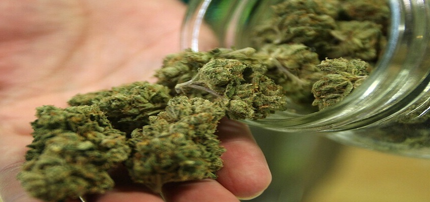 अब आप भी मंगवा सकते है घर बैठे गांजा, ग्राहकों के पास होगा पूरा मेन्यू