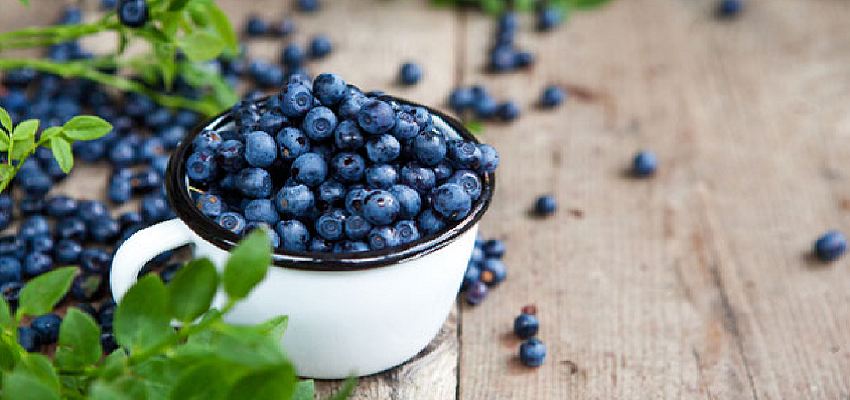 रोजाना ब्लूबेरी के सेवन से होते है ये फायदे, जानें कैसे