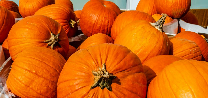 HEALTH TIPS: इस सब्जी के सेवन से होगा कई गंभीर बीमारियों का खात्मा