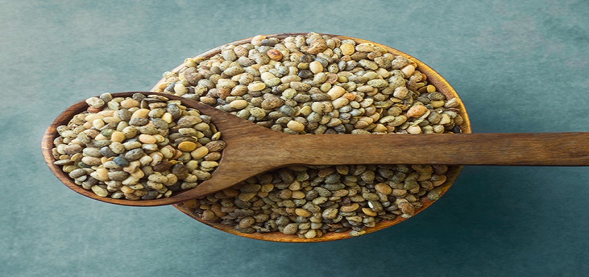 इस दाल के सेवन से मक्खन की तरह पिघल सकता है आपका वजन! जानें इससे जुड़े अनेकों फायदे