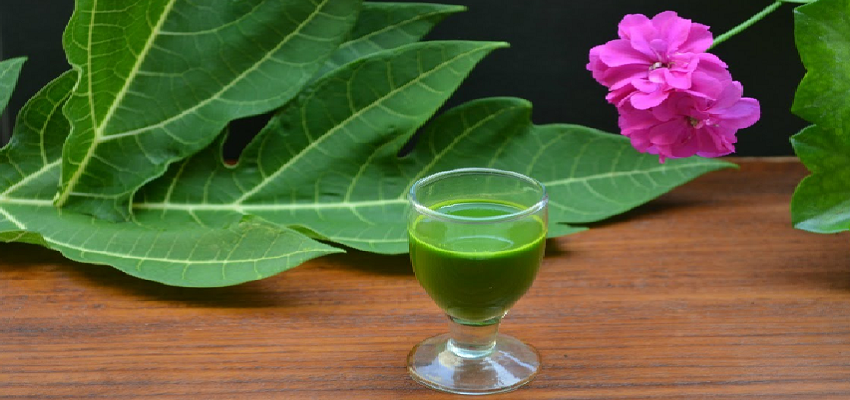 डेंगू से चाहिए राहत तो इस जूस का करें सेवन, जड़ से खत्म होगी बीमारी