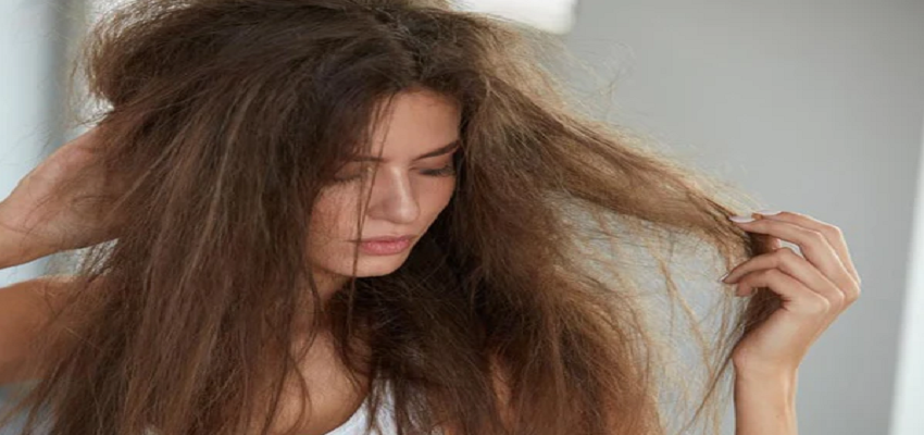 HAIR CARE: दिन ब दिन वायु प्रदूषण कर रहा है हमारे बालों को खराब, जानें कैसे करें अपने बालों का बचाव
