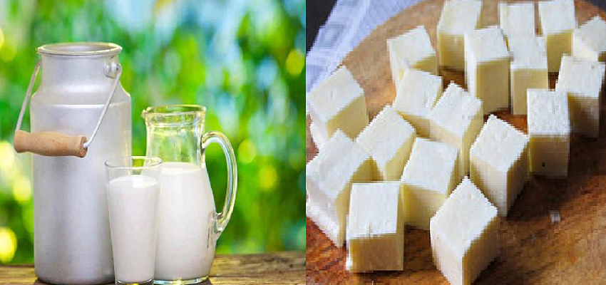 हड्डियों को मजबूत बनाने के लिए करें इन चीजों का सेवन, सेहत को मिलते है कई फायदे