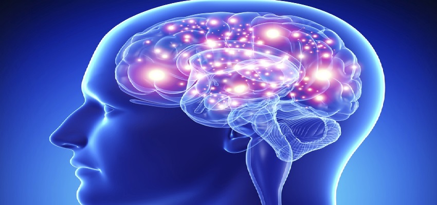 HEALTH IS WEALTH: क्या शरीर के साथ दिमाग भी होता है बूढ़ा, जानें शरीर के संकेत