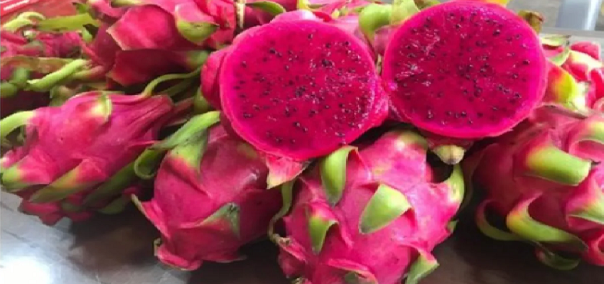 हार्ट को सुरक्षित रखने के लिए इस फल का करें सेवन, कई बीमारियों के लिए भी कारगर