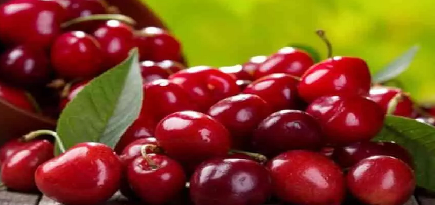 चेरी के सेवन से होते है ये अनेकों फायदे, कई बीमारियों को करता है दूर