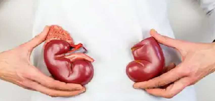 छोड़ दे ये 3 गलत आदतें, वरना किडनी बुरी तरह हो सकती है डैमेज