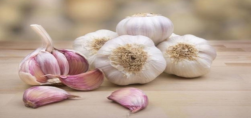 लहसुन है औषधीय गुणों का खजाना, इसके सेवन से एक साथ मिट जाते है 5 रोग