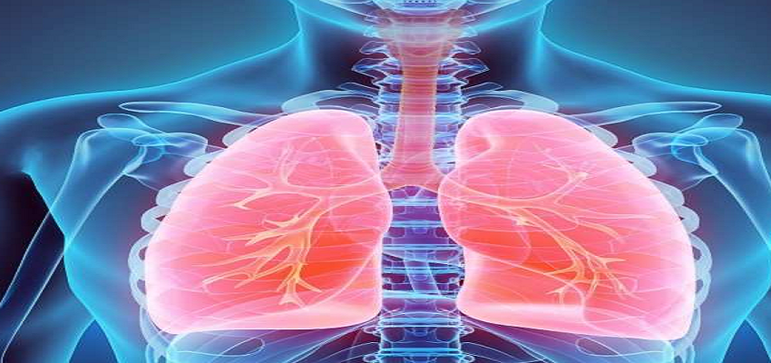 क्या आपके फेफड़े भी हो रहे है खराब, इन संकेतों से करें पता