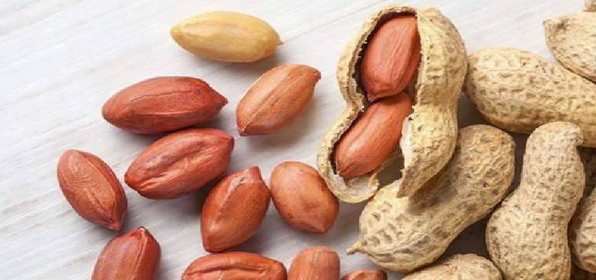 आखिर क्यों गरीबों का बादाम कहलाती है मूंगफली, इसके सेवन से मिलते है कई फायदे