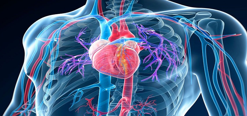 सरकार ने हृदय रोगियों के लिए कोरोनरी स्टेंट को दी मंजूरी, जानें कितनी है कीमत, क्यों पड़ती है इसकी जरूरत