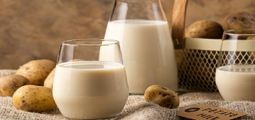 POTATO MILK से होते है अनेक फायदे, जानें कौन सी कंपनी बनाती है ये दूध