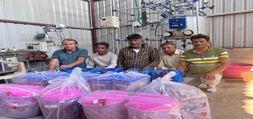 नशे के ज्वालामुखी पर बैठा है गुजरात, चुनाव से पहले वडोदरा में पकड़ा गया करोड़ों का ड्रग्स