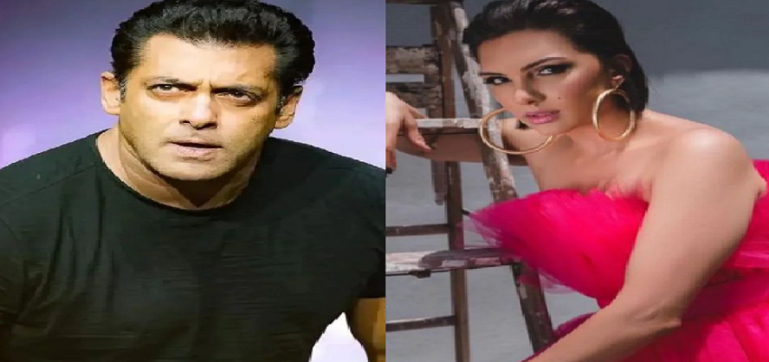 एक्स गर्लफ्रेंड ने एक बार फिर साधा सलमान खान पर निशाना, एक्टर पर लगा मारपीट का आरोप