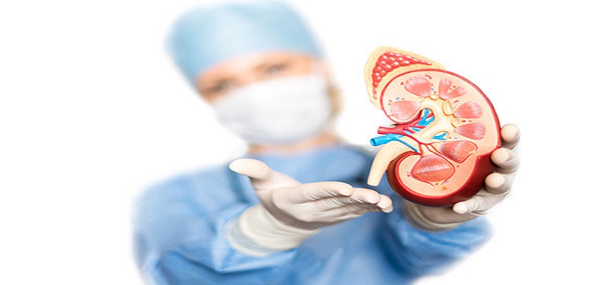KIDNEY TRANSPLANT: क्या एक किडनी से जिंदा रह सकते है इंसान, जानें डोनेशन से जुड़ी जरूरी बातें