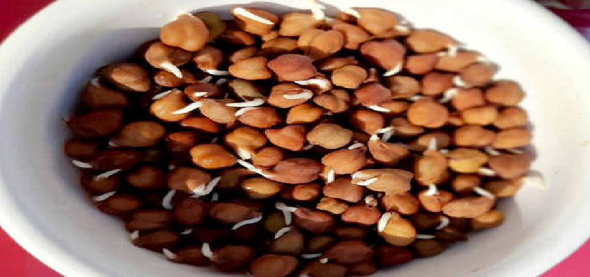 रोज सुबह खाली पेट काले चने का सेवन करने से होते हैं चमत्कारी फायदे, जानें कैसे