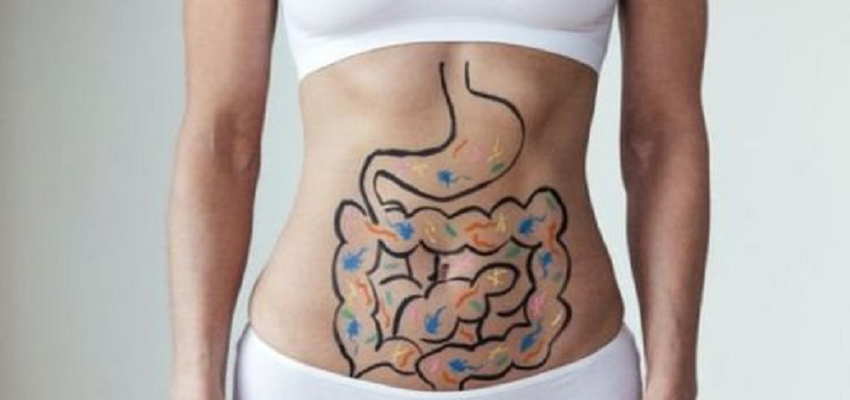 शरीर में होते हैं दो दिमाग! रिसर्च से हुआ बड़ा खुलासा